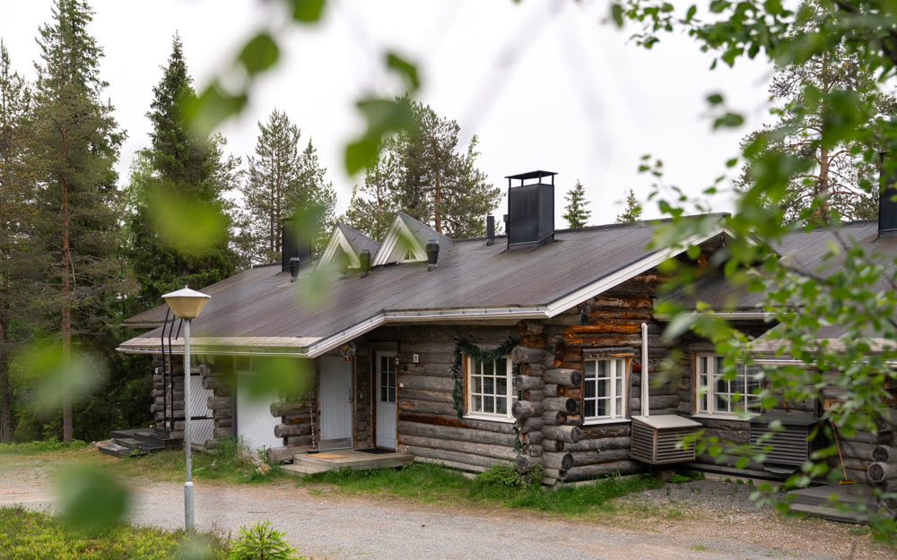 Lumiaava's kelo log exterior among the pines